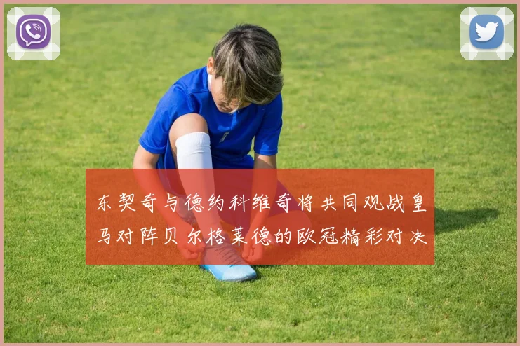 东契奇与德约科维奇将共同观战皇马对阵贝尔格莱德的欧冠精彩对决